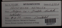 Image Associated With the Occurence